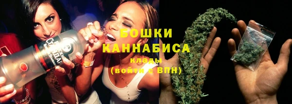 PSILOCYBIN Баксан
