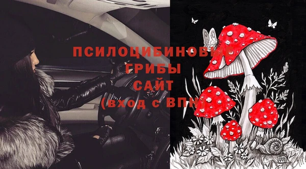 PSILOCYBIN Баксан