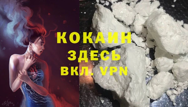 PSILOCYBIN Баксан