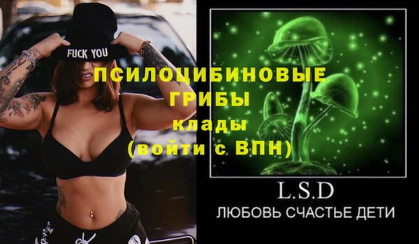 PSILOCYBIN Баксан
