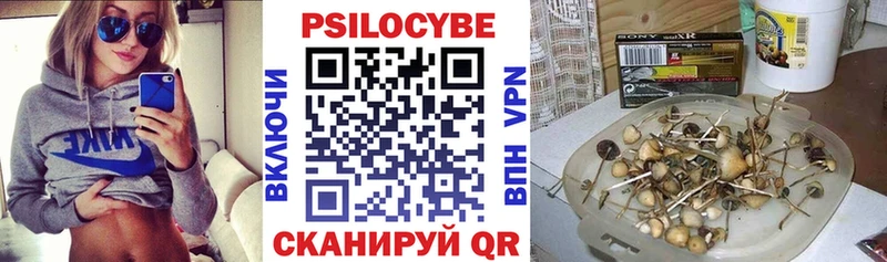 ОМГ ОМГ   Озёры  Галлюциногенные грибы Psilocybine cubensis 